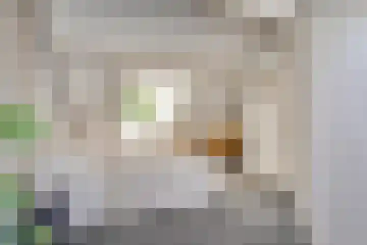 Pieter de Hooghlaan 10 C Hilversum thumbnail 28