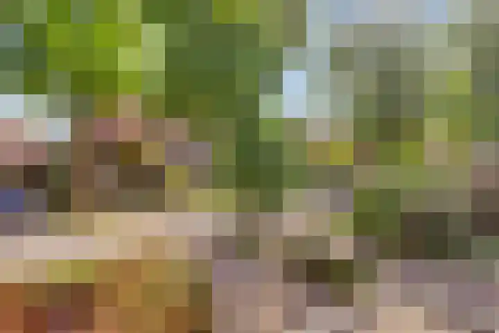 Pieter de Hooghlaan 10 C Hilversum thumbnail 31