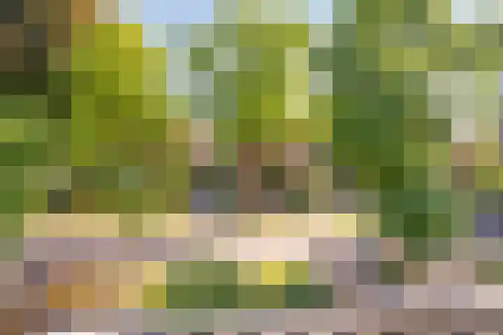 Pieter de Hooghlaan 10 C Hilversum thumbnail 32