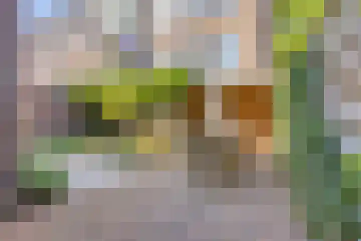 Pieter de Hooghlaan 10 C Hilversum thumbnail 34