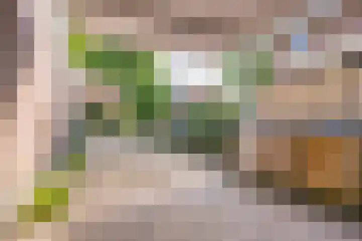 Pieter de Hooghlaan 10 C Hilversum thumbnail 41