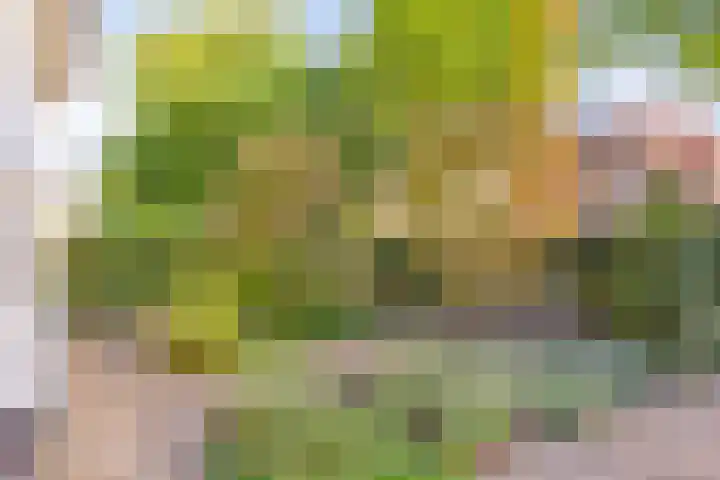 Pieter de Hooghlaan 10 C Hilversum thumbnail 42