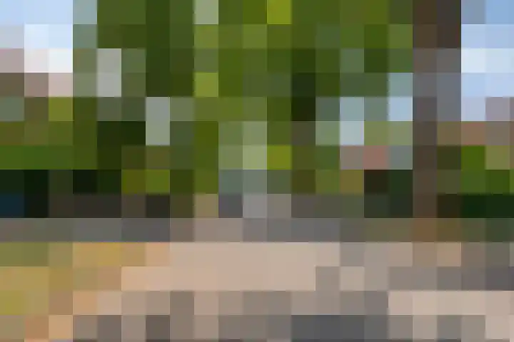 Pieter de Hooghlaan 10 C Hilversum thumbnail 46