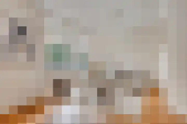 Pieter de Hooghlaan 10 C Hilversum thumbnail 5