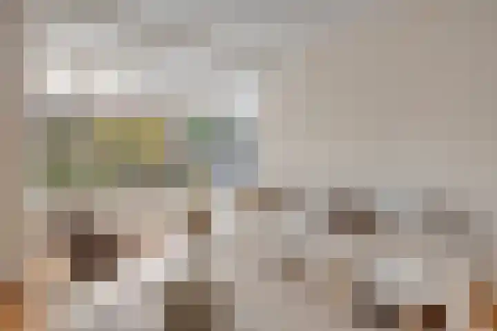 Pieter de Hooghlaan 10 C Hilversum thumbnail 6