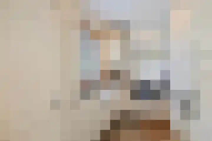 Pieter de Hooghlaan 12 Oud-Beijerland thumbnail 14