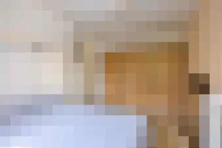 Pieter de Hooghlaan 12 Oud-Beijerland thumbnail 22