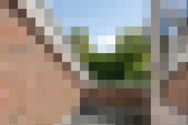 Pieter de Hooghlaan 12 Oud-Beijerland thumbnail 23