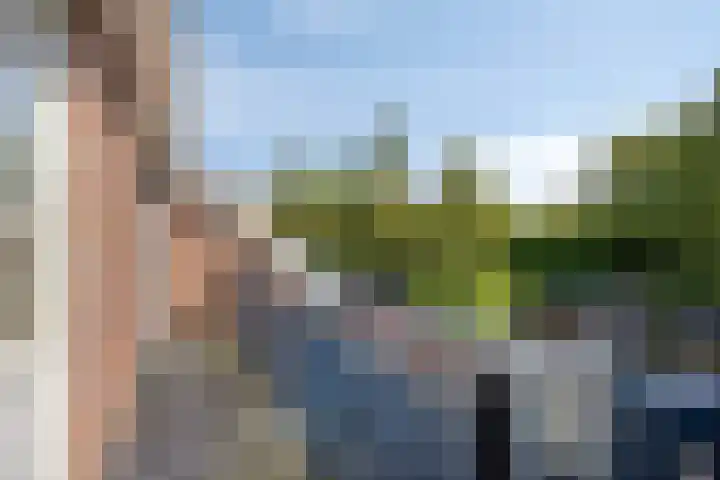 Pieter de Hooghlaan 12 Oud-Beijerland thumbnail 32