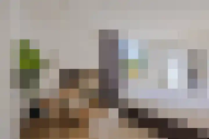 Pieter de Hooghlaan 12 Oud-Beijerland thumbnail 34