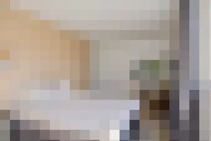 Pieter de Hooghlaan 12 Oud-Beijerland thumbnail 36