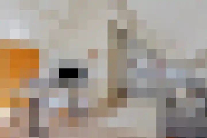 Pieter de Hooghlaan 12 Oud-Beijerland thumbnail 37
