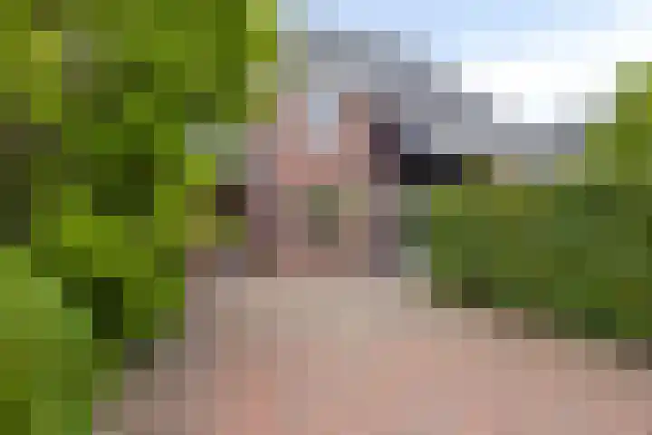 Pieter de Hooghlaan 12 Oud-Beijerland thumbnail 4
