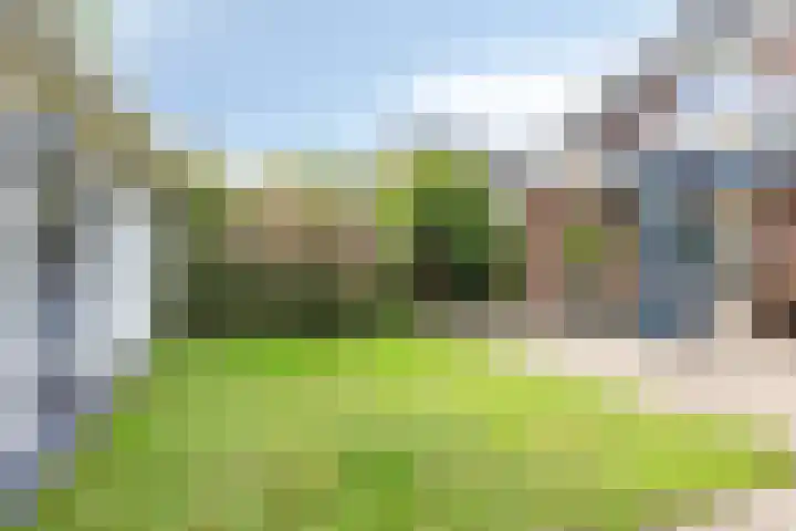 Pieter de Hooghlaan 12 Oud-Beijerland thumbnail 45
