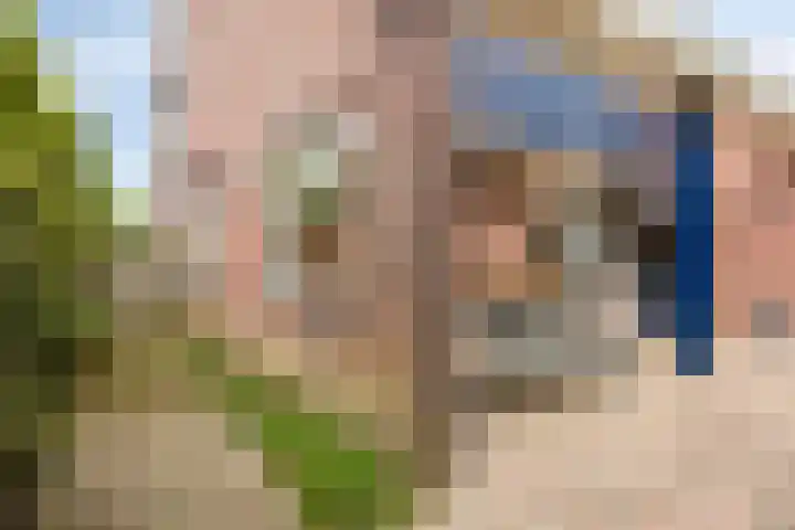 Pieter de Hooghlaan 12 Oud-Beijerland thumbnail 49