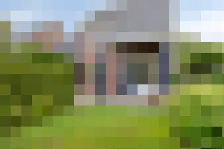 Pieter de Hooghlaan 12 Oud-Beijerland thumbnail 50