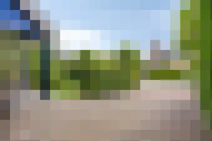 Pieter de Hooghlaan 12 Oud-Beijerland thumbnail 52