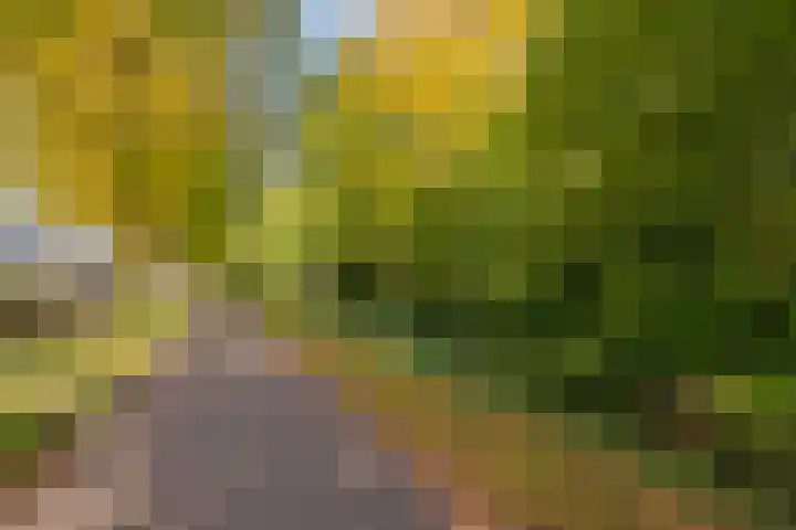 Pieter de Hooghlaan 12 Oud-Beijerland thumbnail 55