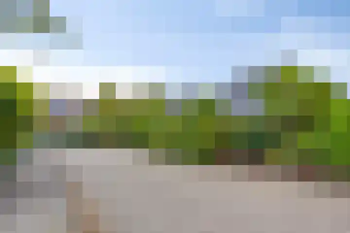 Pieter de Hooghlaan 12 Oud-Beijerland thumbnail 56