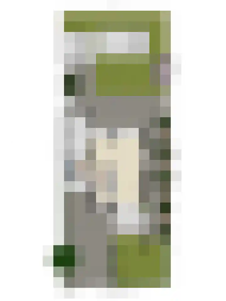 Pieter de Hooghlaan 12 Oud-Beijerland thumbnail 58
