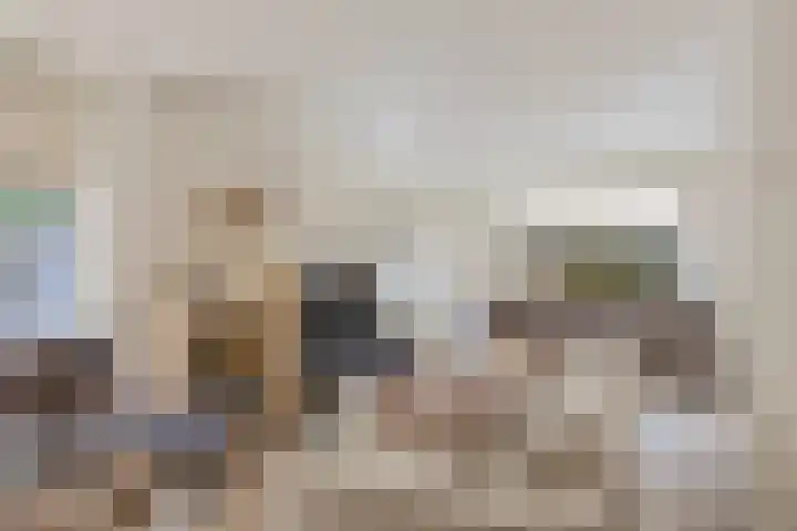 Pieter de Hooghlaan 12 Oud-Beijerland thumbnail 8