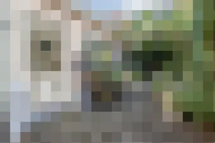 Pieter de Hooghlaan 14 Baarn thumbnail 27