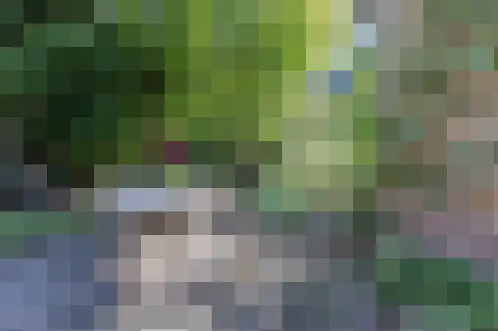Pieter de Hooghlaan 14 Baarn thumbnail 28