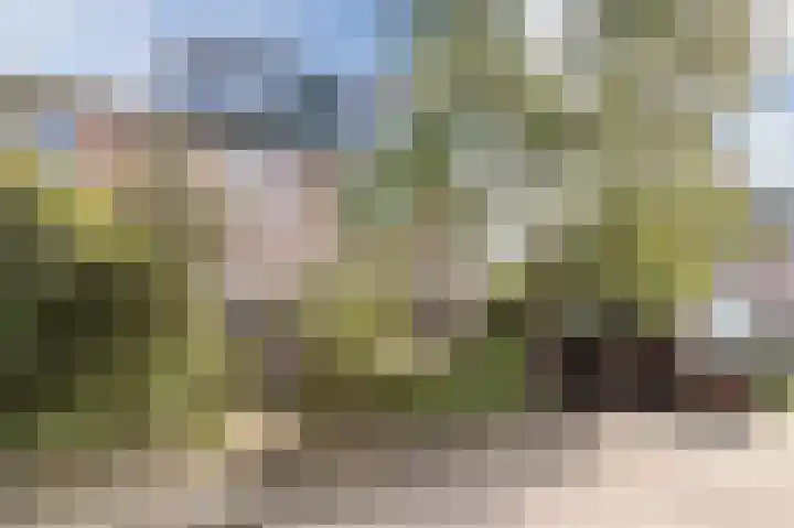 Pieter de Hooghlaan 14 Baarn thumbnail 31