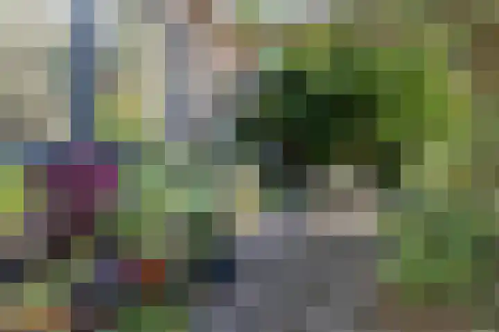 Pieter de Hooghlaan 14 Baarn thumbnail 4
