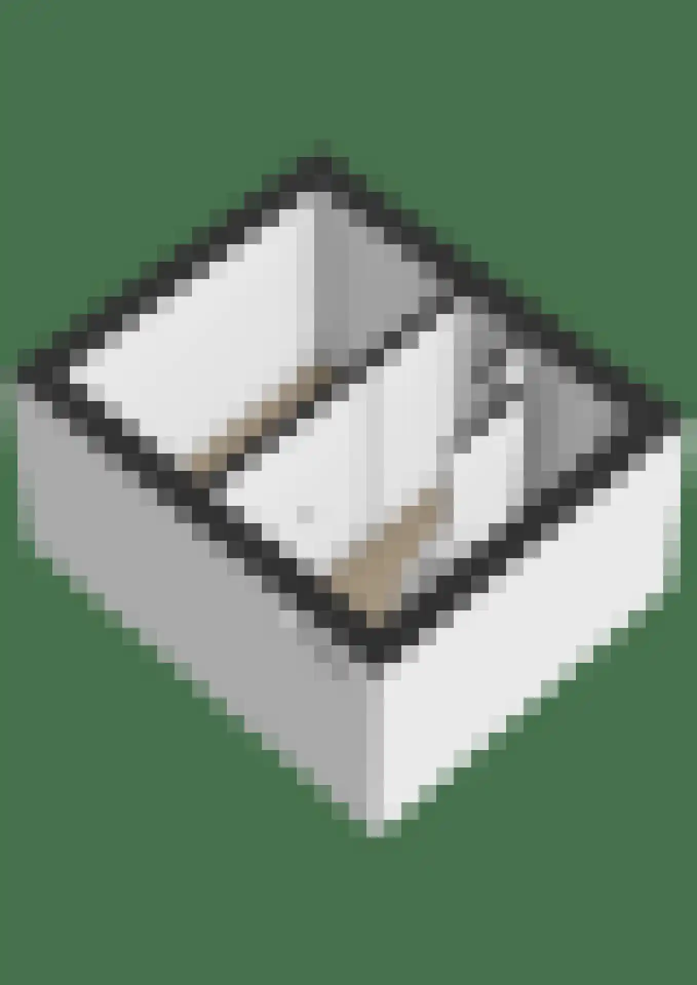 Pieter de Hooghlaan 15 Soest thumbnail 33