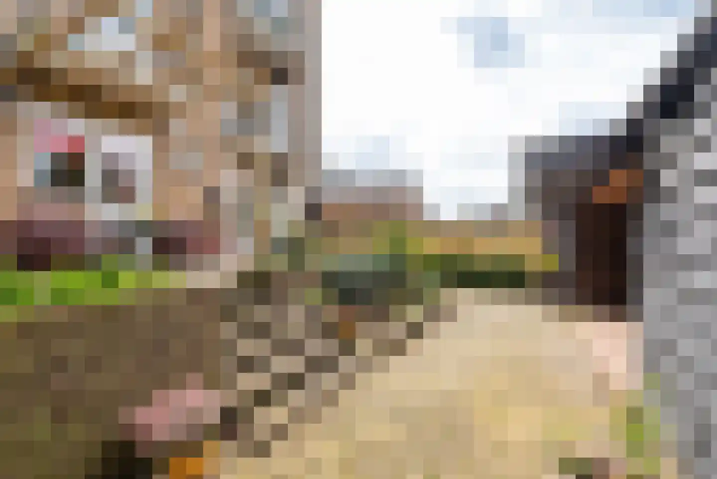 Pieter de Hooghlaan 21 Baarn thumbnail 18