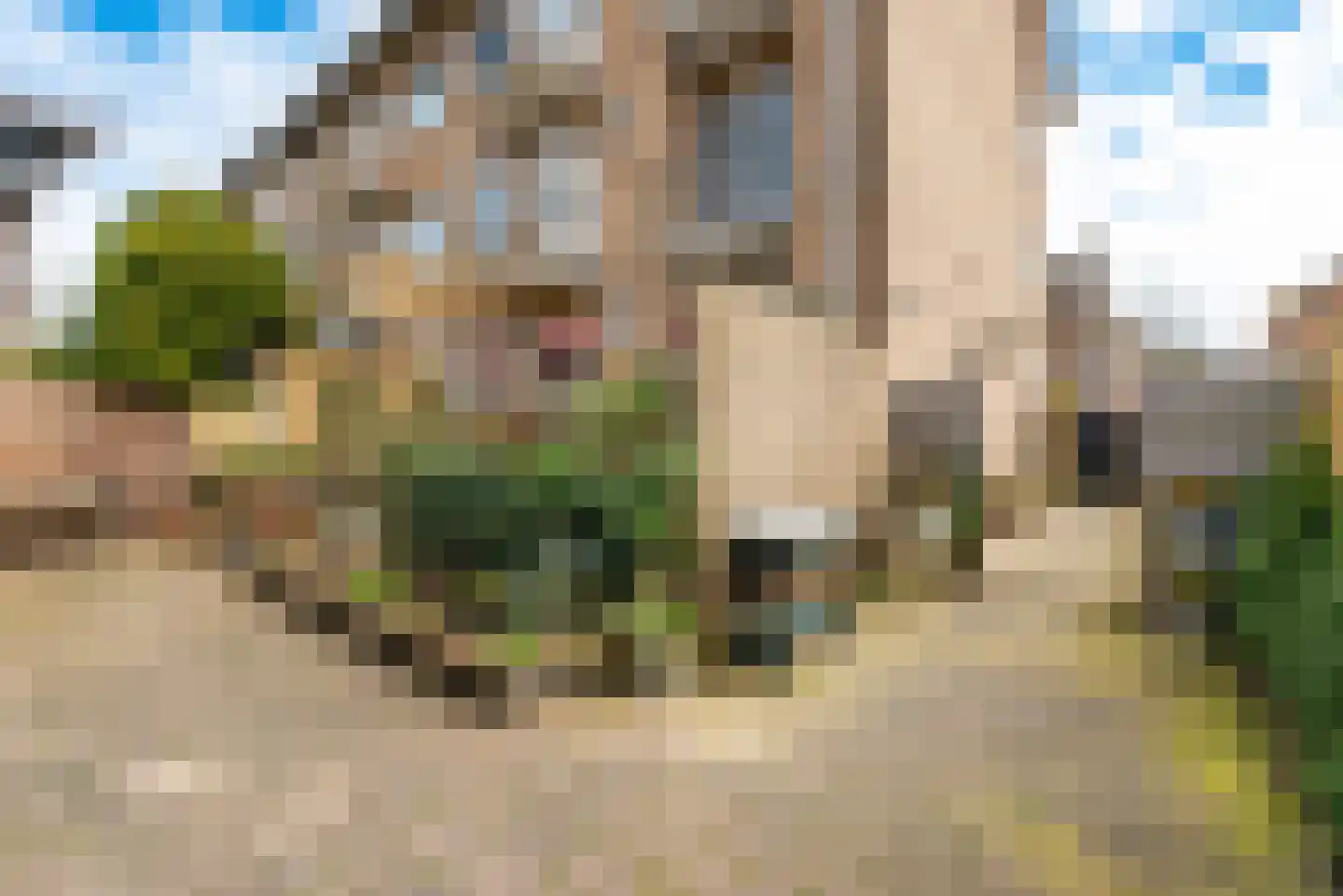 Pieter de Hooghlaan 21 Baarn thumbnail 22