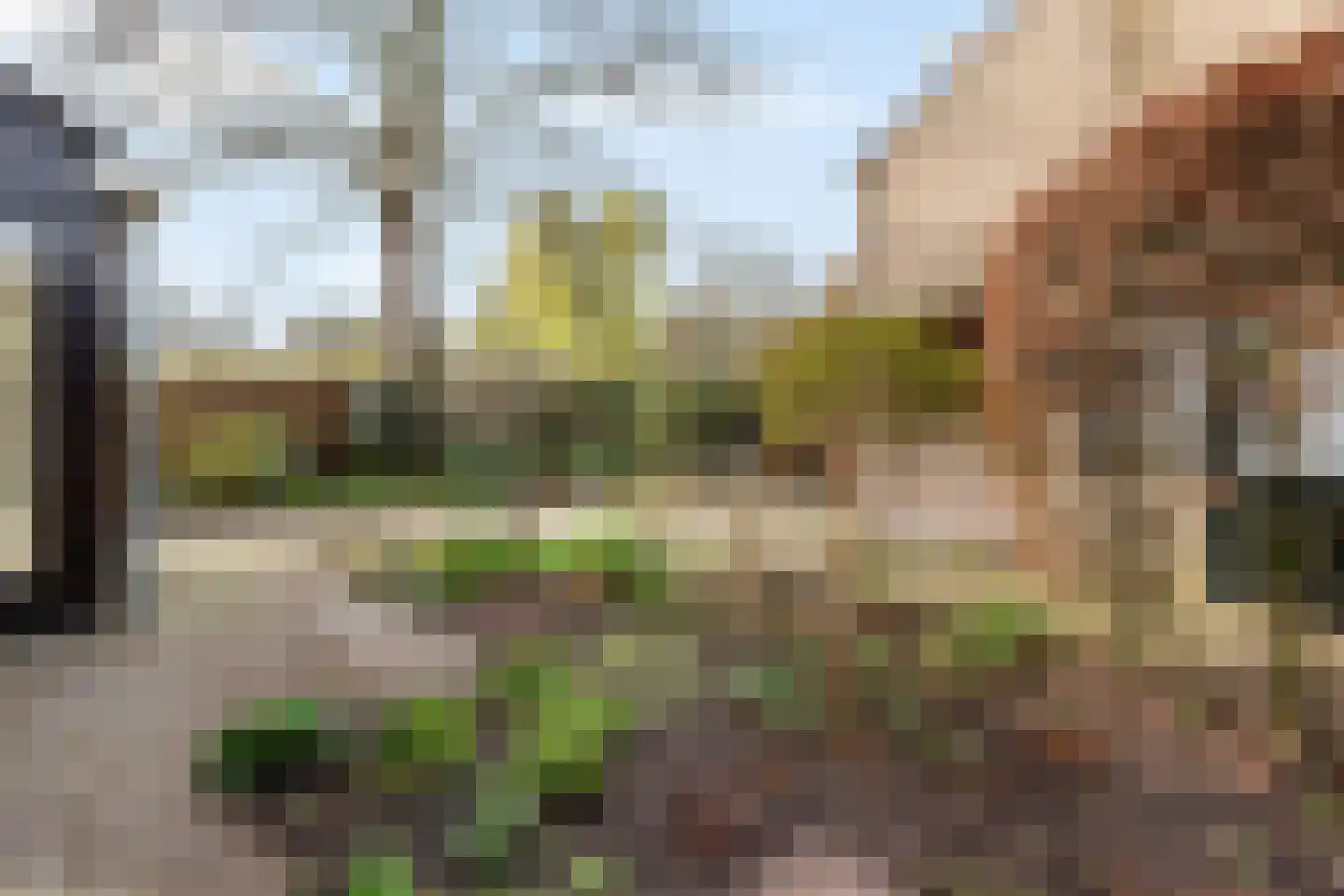 Pieter de Hooghlaan 24 Nederhorst den Berg thumbnail 22