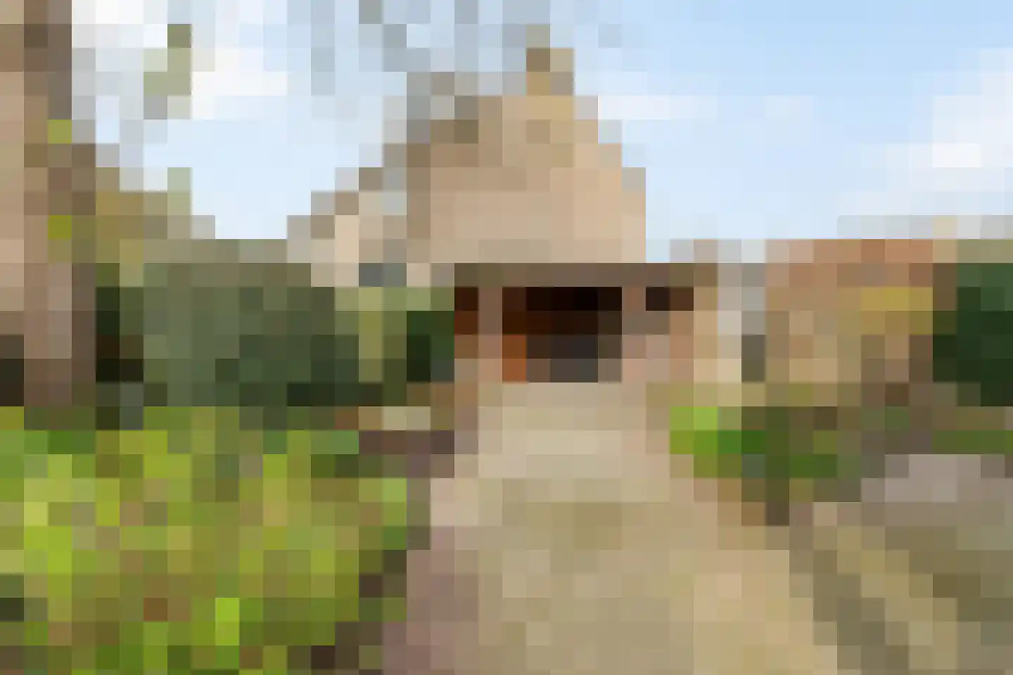 Pieter de Hooghlaan 24 Nederhorst den Berg thumbnail 23
