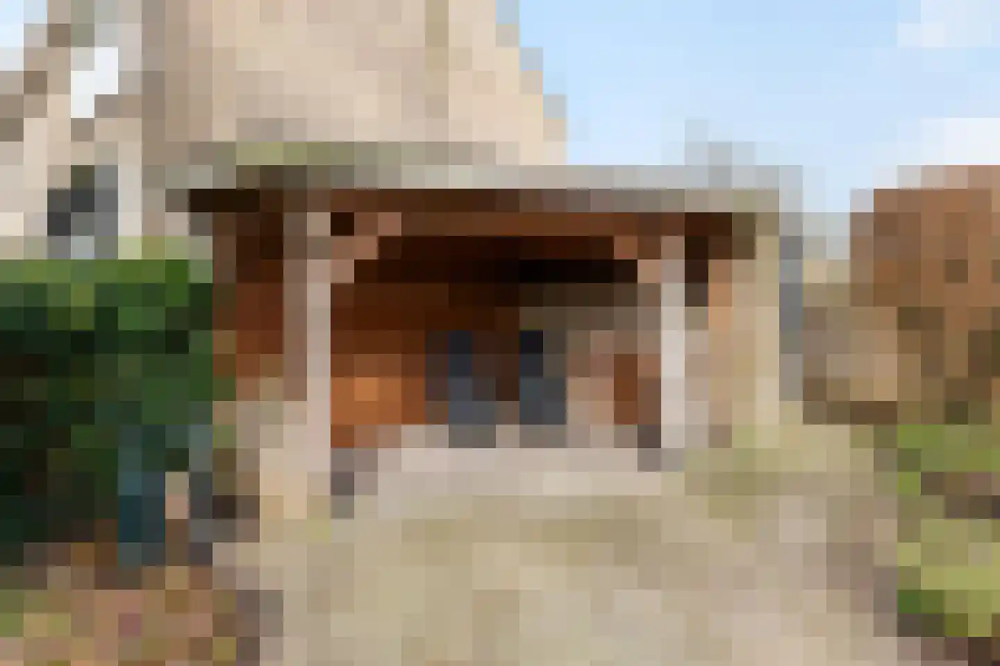Pieter de Hooghlaan 24 Nederhorst den Berg thumbnail 24