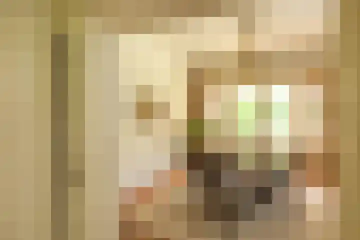 Pieter de Hooghlaan 28 Hilversum thumbnail 10