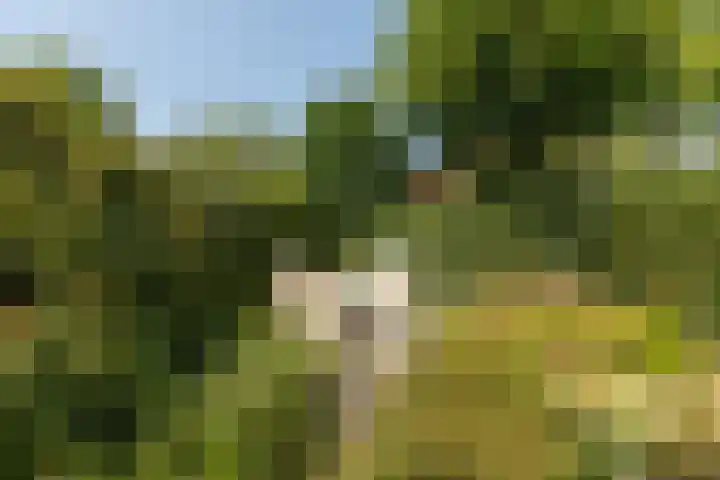 Pieter de Hooghlaan 28 Hilversum thumbnail 31