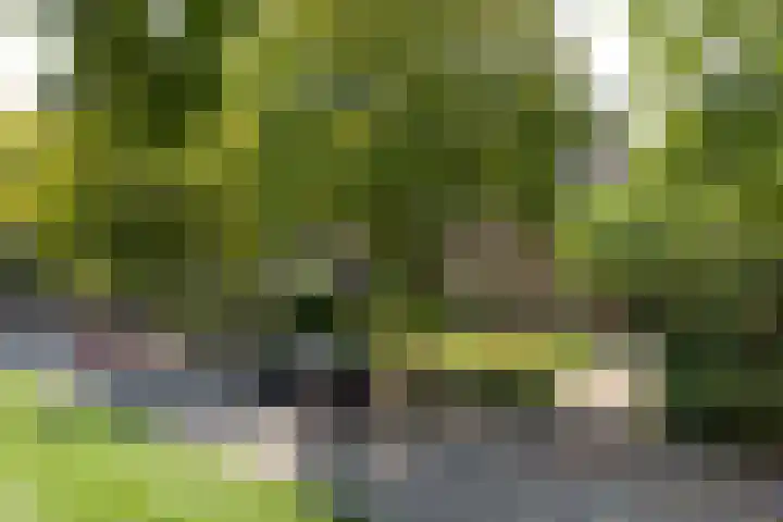 Pieter de Hooghlaan 28 Hilversum thumbnail 32