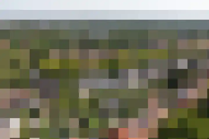 Pieter de Hooghlaan 28 Hilversum thumbnail 34
