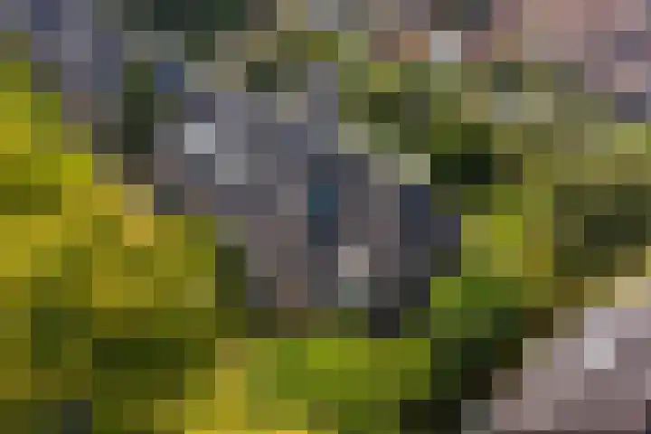 Pieter de Hooghlaan 28 Hilversum thumbnail 35