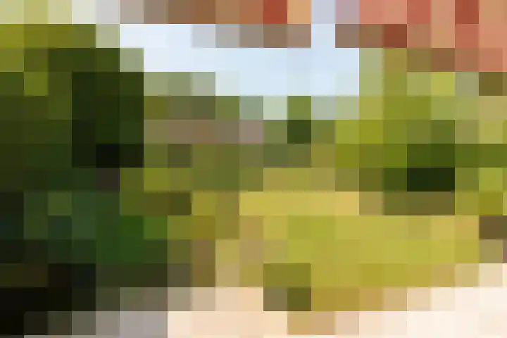 Pieter de Hooghlaan 28 Hilversum thumbnail 4
