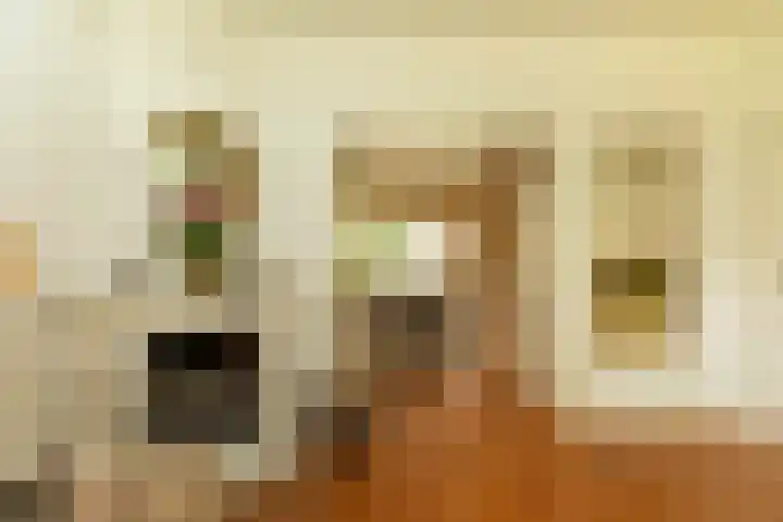 Pieter de Hooghlaan 28 Hilversum thumbnail 8