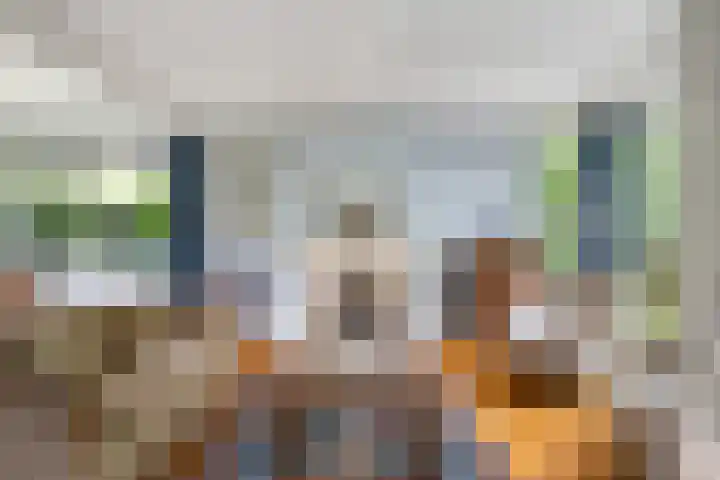 Pieter de Hooghlaan 30 Oud-Beijerland thumbnail 11