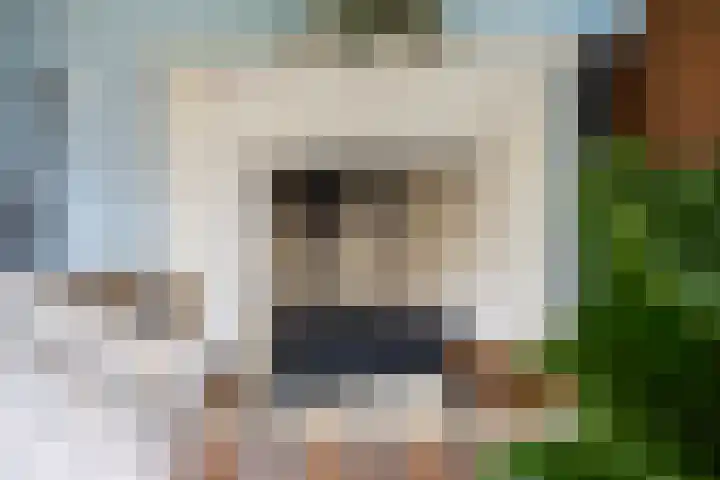 Pieter de Hooghlaan 30 Oud-Beijerland thumbnail 14