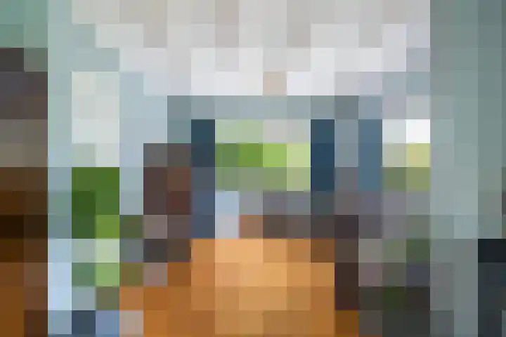 Pieter de Hooghlaan 30 Oud-Beijerland thumbnail 15