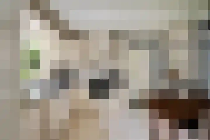 Pieter de Hooghlaan 30 Oud-Beijerland thumbnail 17
