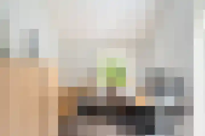 Pieter de Hooghlaan 30 Oud-Beijerland thumbnail 24
