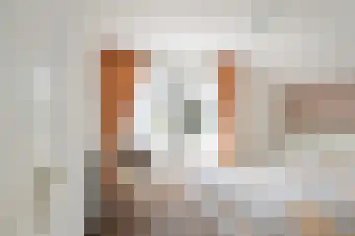 Pieter de Hooghlaan 30 Oud-Beijerland thumbnail 30