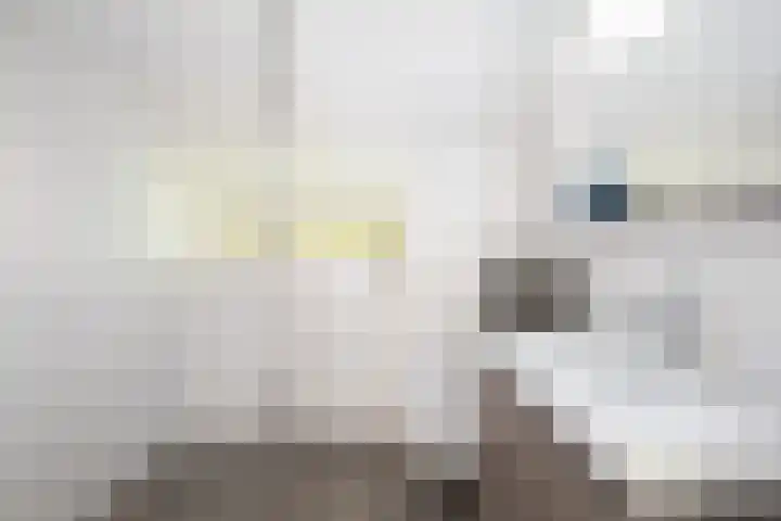Pieter de Hooghlaan 30 Oud-Beijerland thumbnail 33