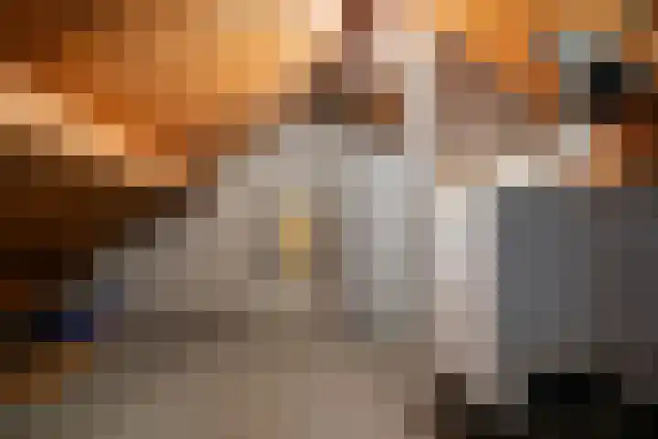 Pieter de Hooghlaan 30 Oud-Beijerland thumbnail 35